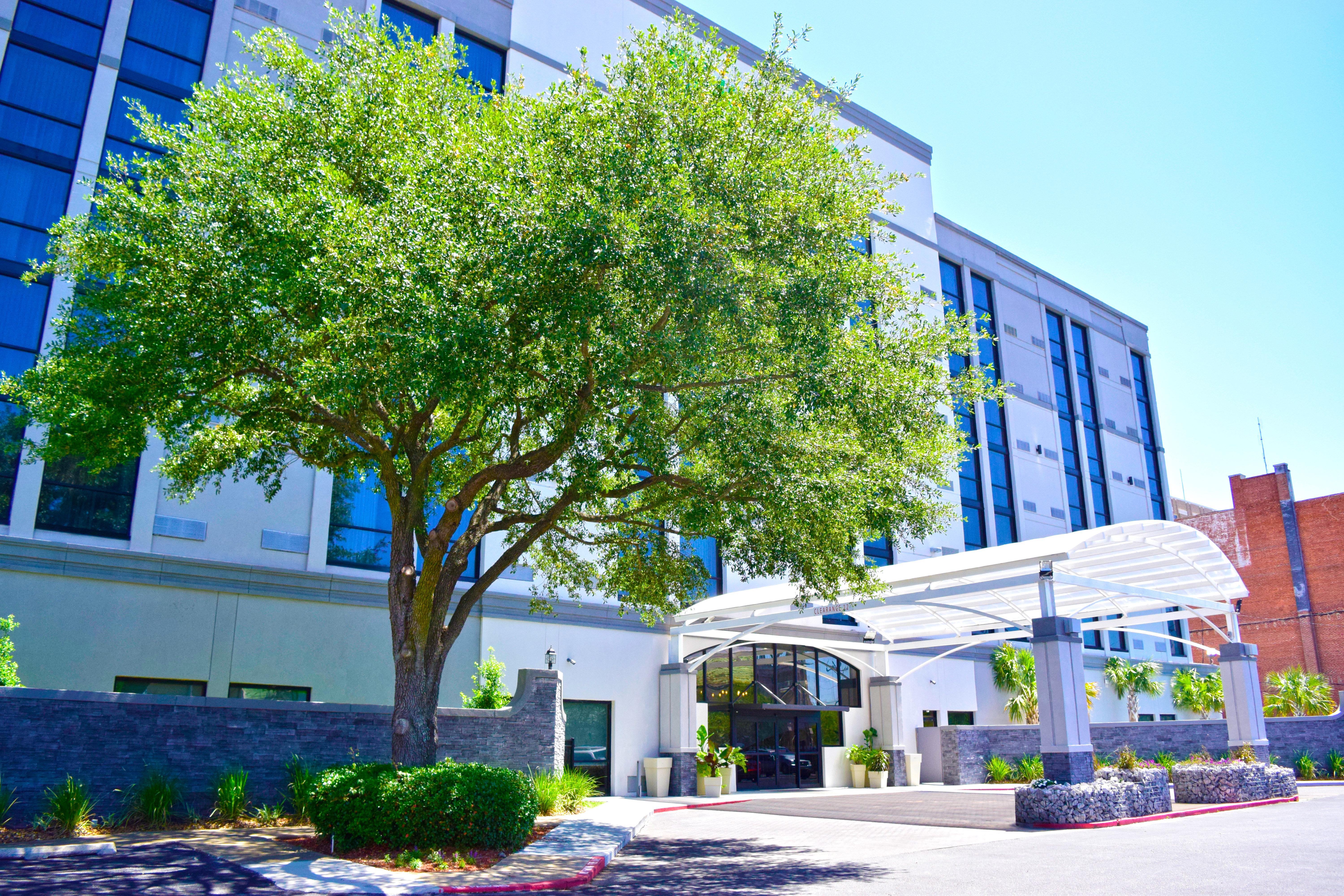 Holiday Inn Alexandria - Downtown By Ihg Dış mekan fotoğraf